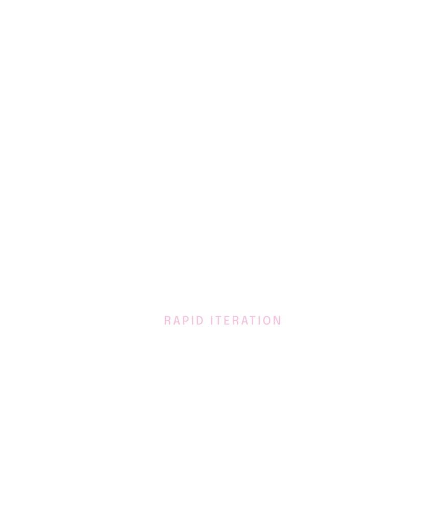 Graphic showing our accelerated 12 month path to an MVP through rapid iteration and customer feedback.